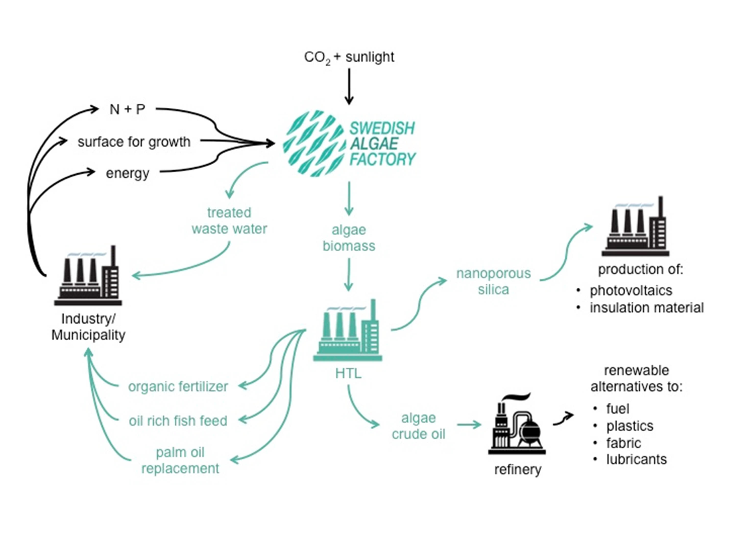 Swedish Algae Factory’s example of a circular business model based on algae’s natural life cycle