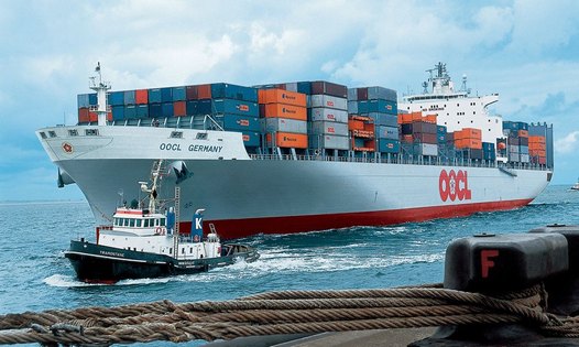 The M/V "OOCL Germany" (above) a Panamax class ship. It is 277 m long, 40 m wide and can carry 67 500 tons in a 14 m draught. Maximum speed is 26.1 knots. Photo provided by E.R. Schiffahrt